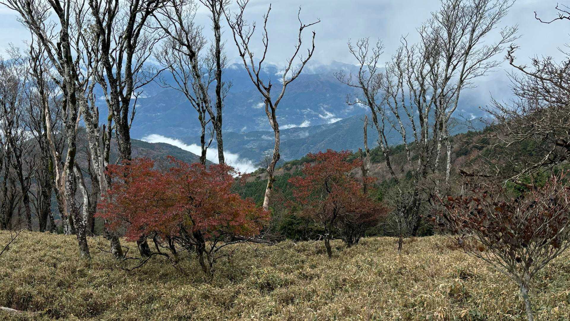 ガスが無ければ絶景だったろうに…