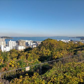 “今も海が見えるでしょう～か♪”
見えました。左の島が猿島。去年の1月に上陸しています。
https://yamap.com/activities/29141761
奥は房総半島