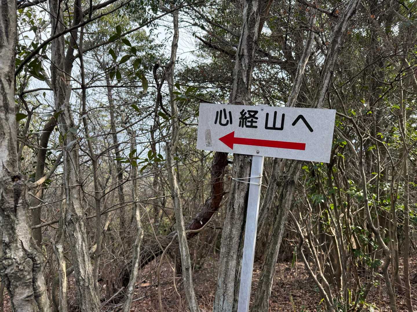 次いきましょー