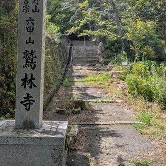 山名は「六甲山」