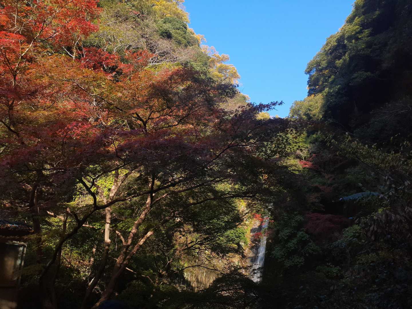 出発時点では青空が綺麗でした