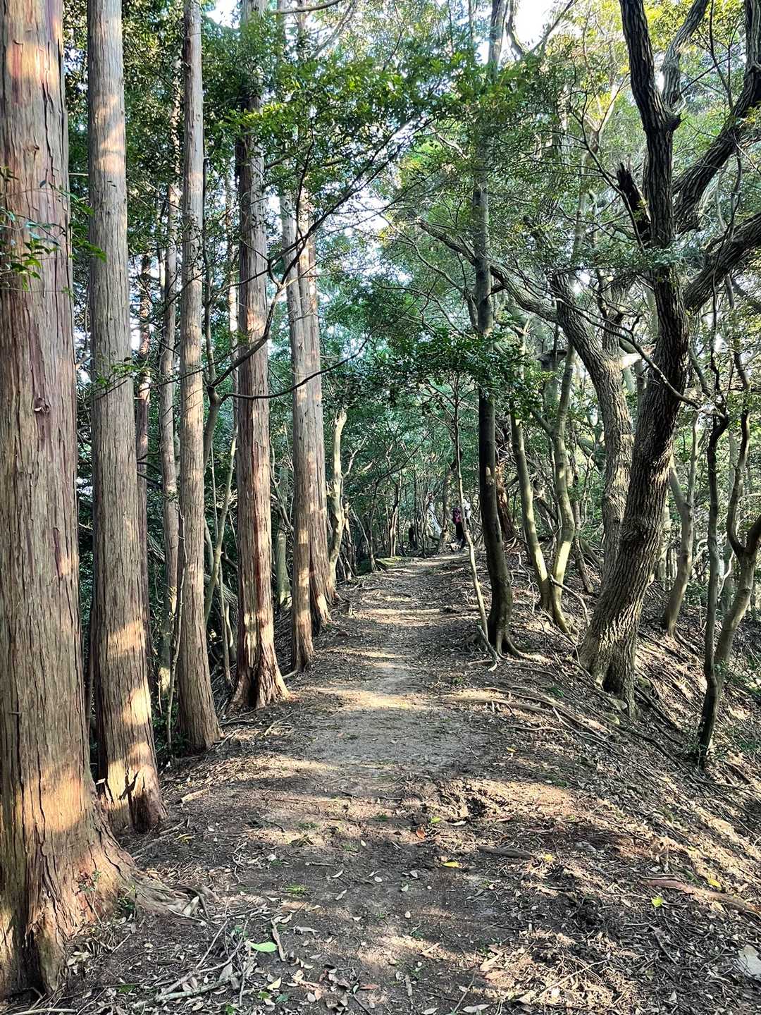 鐘撞山へ


