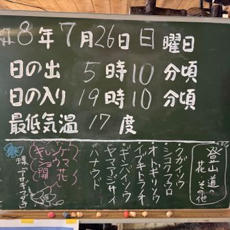 お花畑🌼良い感じです🙆