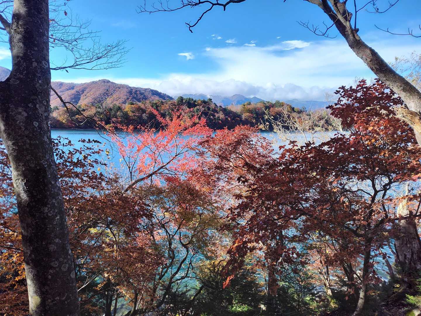 社山往復 | 中禅寺湖と男体山の絶景を一望。日光らしさと絶景を味わえる癒し旅の写真
