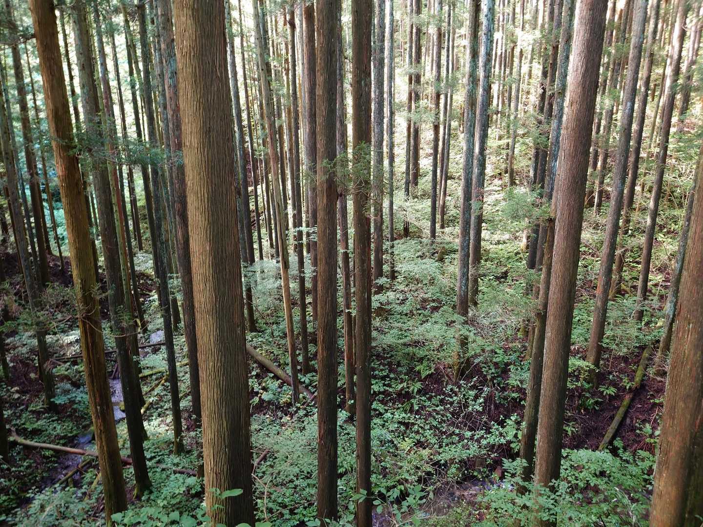 こういう場所好き。