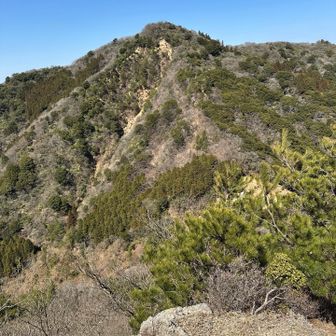 さっきまでいた溝干山