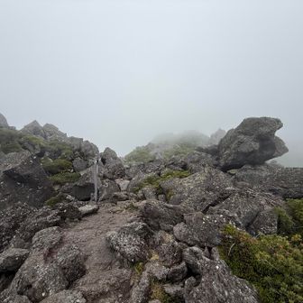 進むのに時間かかりますが、楽しく歩けます
