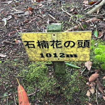 いし？？◯ 花の　頭かしら

誰か？！読み方　教えてん😝