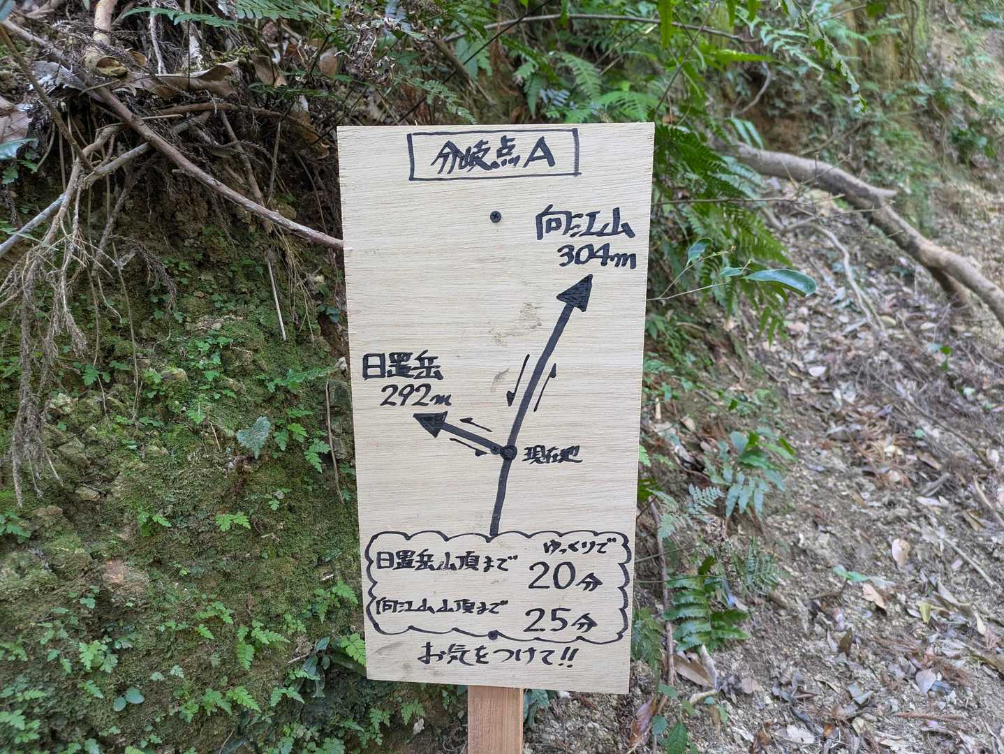 分岐の案内
こちらも綺麗に書かれていますね👍️
先ずは日置岳へ