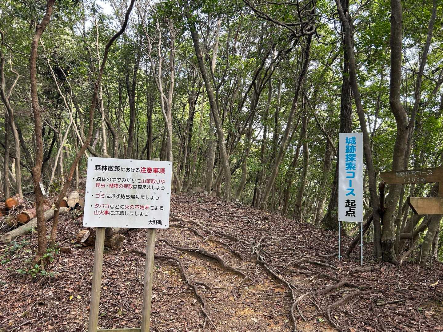 汗だく