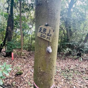 グレーピークで7座目