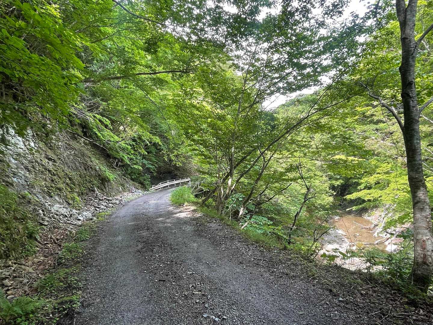 しばらく沢音聞きながら
平坦な林道歩き