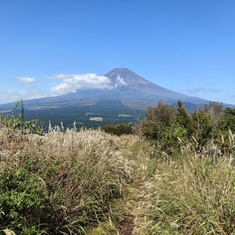 富士山撮影スポットは何箇所かあります🗻
雲が少しある方がステキ！