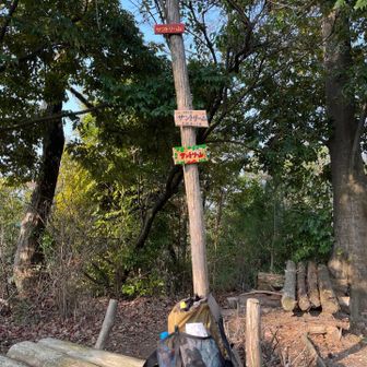 沢山のサントリー山標識
ヤマと読むのかサンと読むのか？