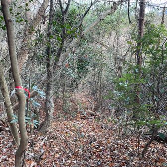 どんどん下っていきます