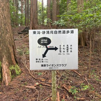 大平山を降りてきての看板
階段奥の広い空き地が頂上かなと