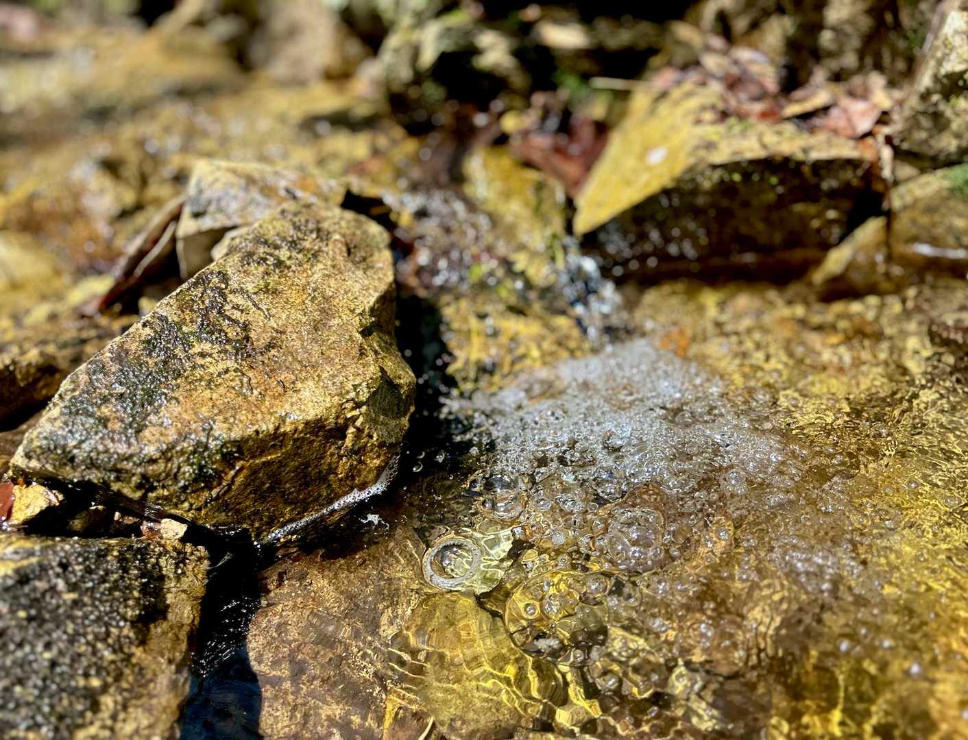 冷たい沢水💧がめっちゃ気持ちいい🙌
先生に連れられて頑張って歩く園児👦🏻🧒🏻達に
ほっこり😚