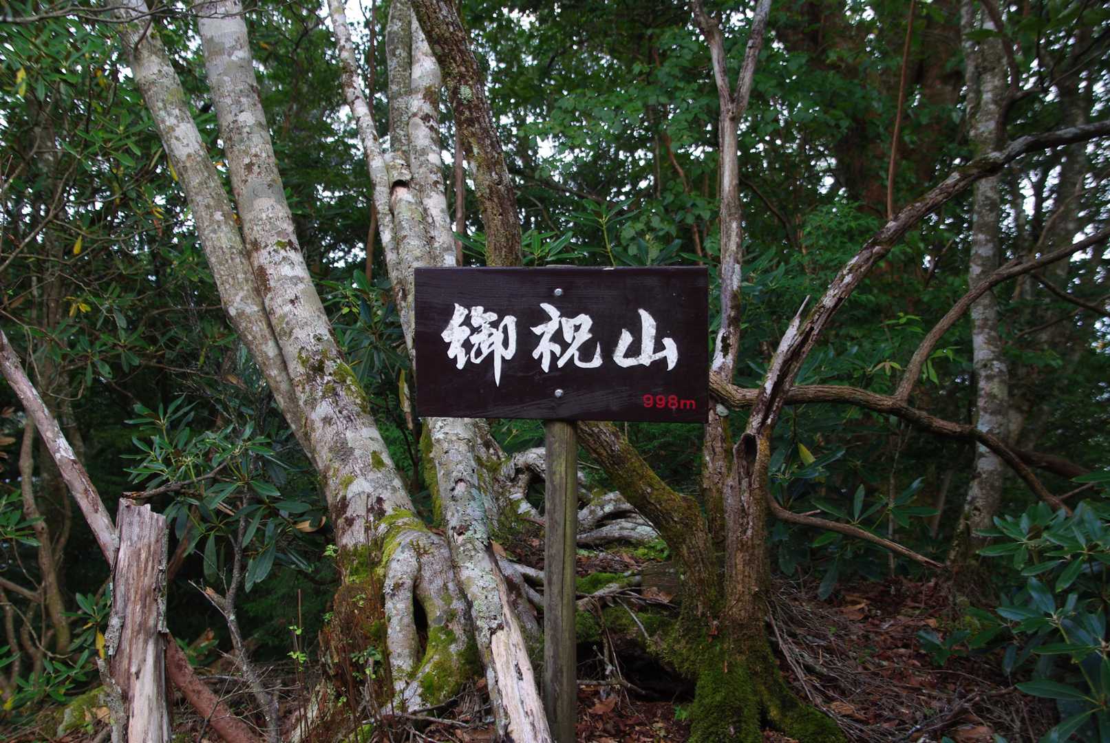 御祝山到着。