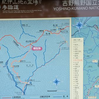 遠く熊野本宮大社まで続く古の道です。今いる場所は地図で見るとこの辺り👆