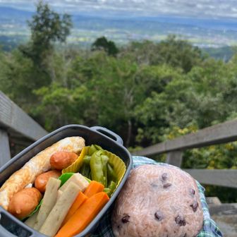 誰も来ないので、景色がいい階段でお弁当。
