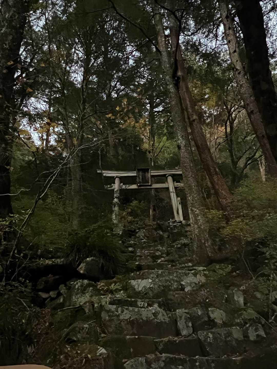 ✨無事下山😆👍✨

あとは30分ロードを歩きして🅿️駐車場へ

✨部活山行だったけど楽しかったぁ😆👍✨

✨明日は体がバキバキかな🤣🤣🤣🤣✨