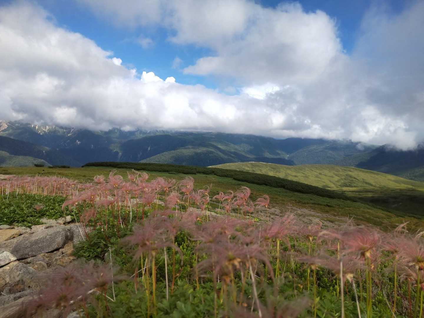 北ノ俣岳越えると急に青空。美しすぎて涙する