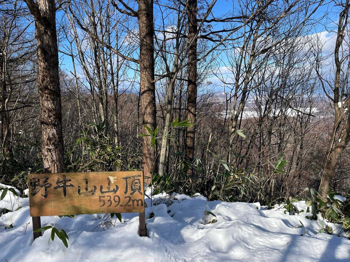あっという間に山頂！！
湿った雪がなかなか深く歩きづらい。
山頂直下はなかなかの急登💦
所々に太いロープあり助かりました