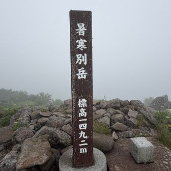 暑寒別岳とうちゃく‼️