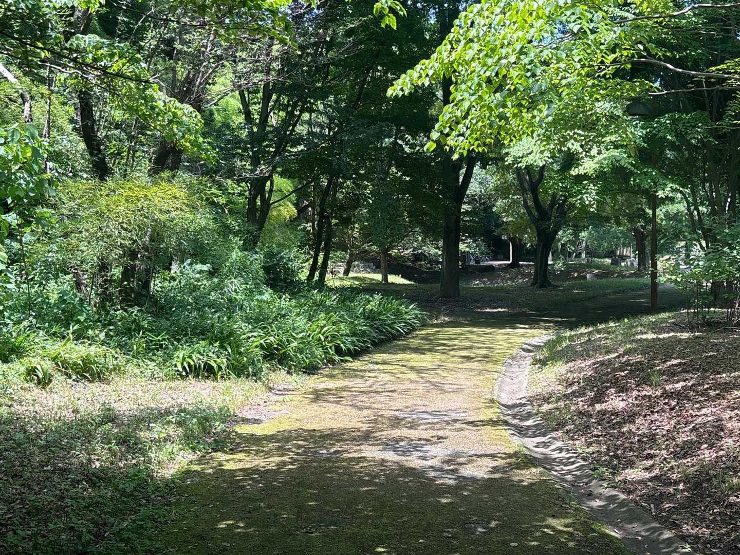 自然のままの公園