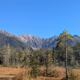 岳沢湿原