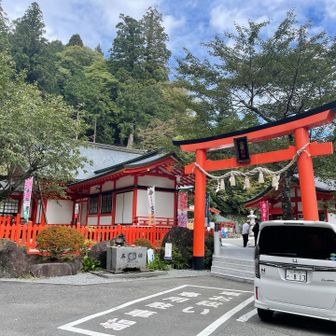 金桜神社⛩️