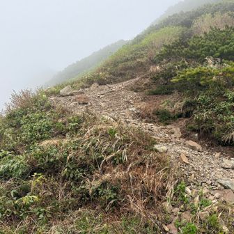 ここです。🐻とであったところ。近い😱