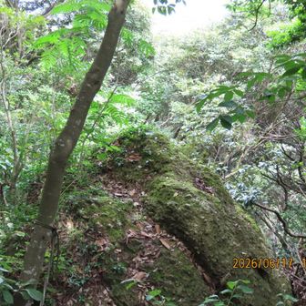 東の峰の奥、初めておりたら大きな岩😃