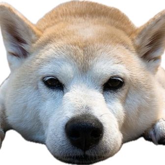 め〜ひ
