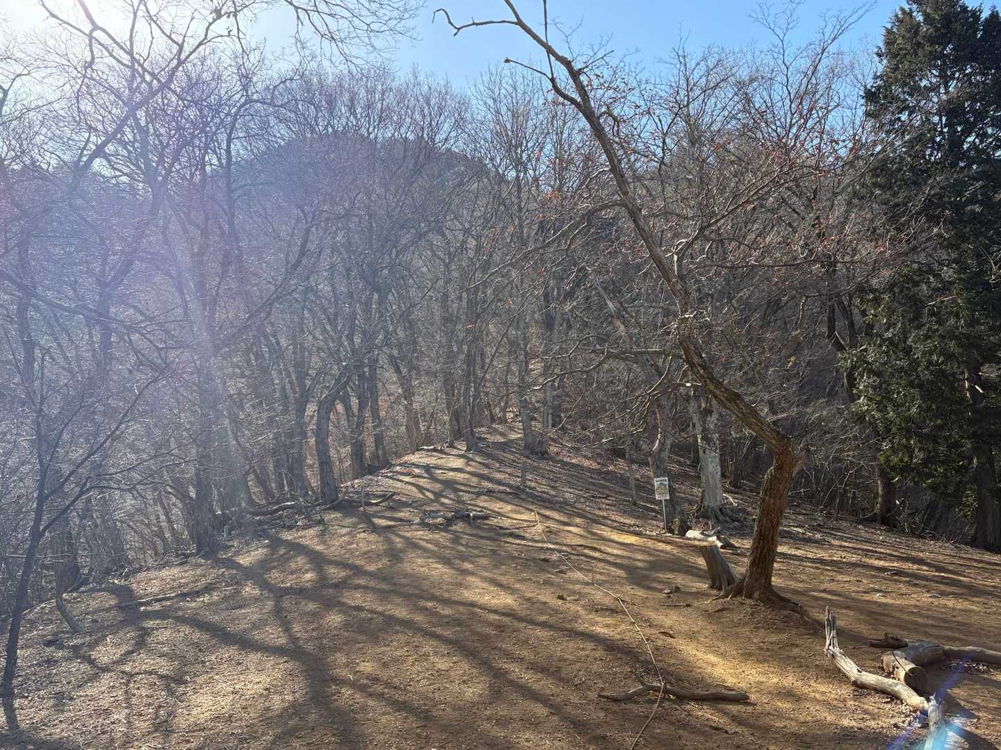 開けたポイント。ここ右手から三つ峠山方面の眺望あり