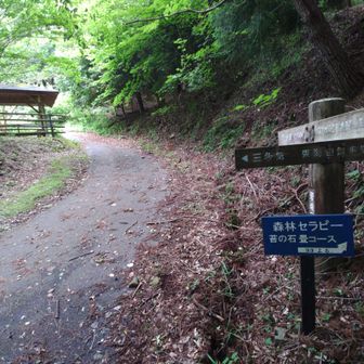 楽しかった。