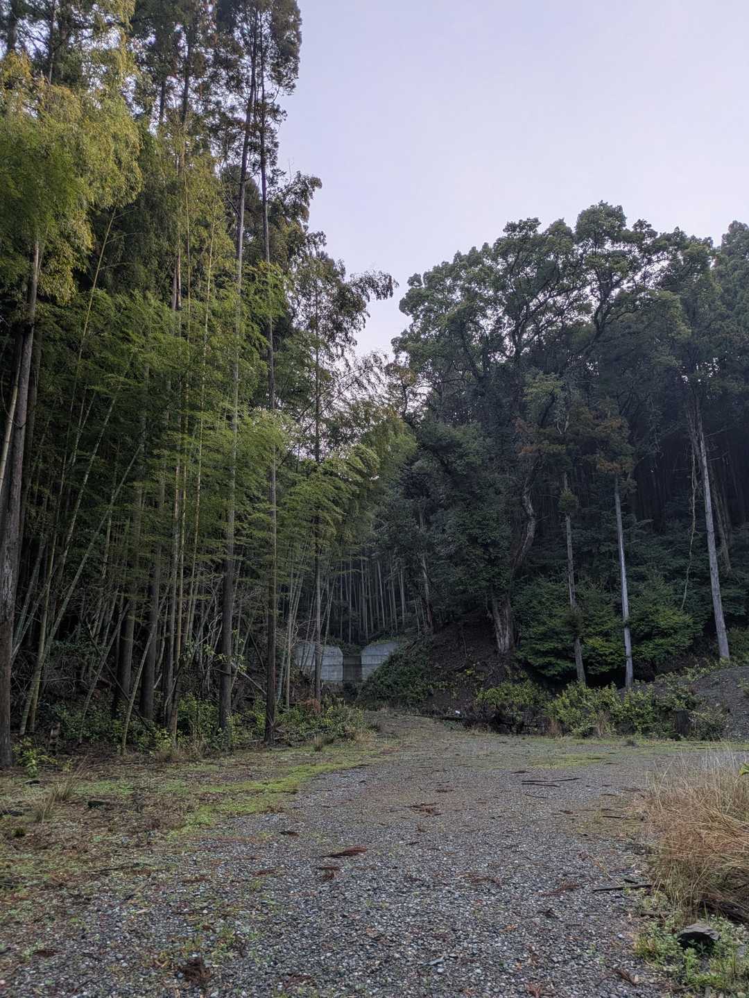 サンポート隣の駐車場からスタート。
いきなり堰堤の方行って間違えたけど、すぐに右手です😁