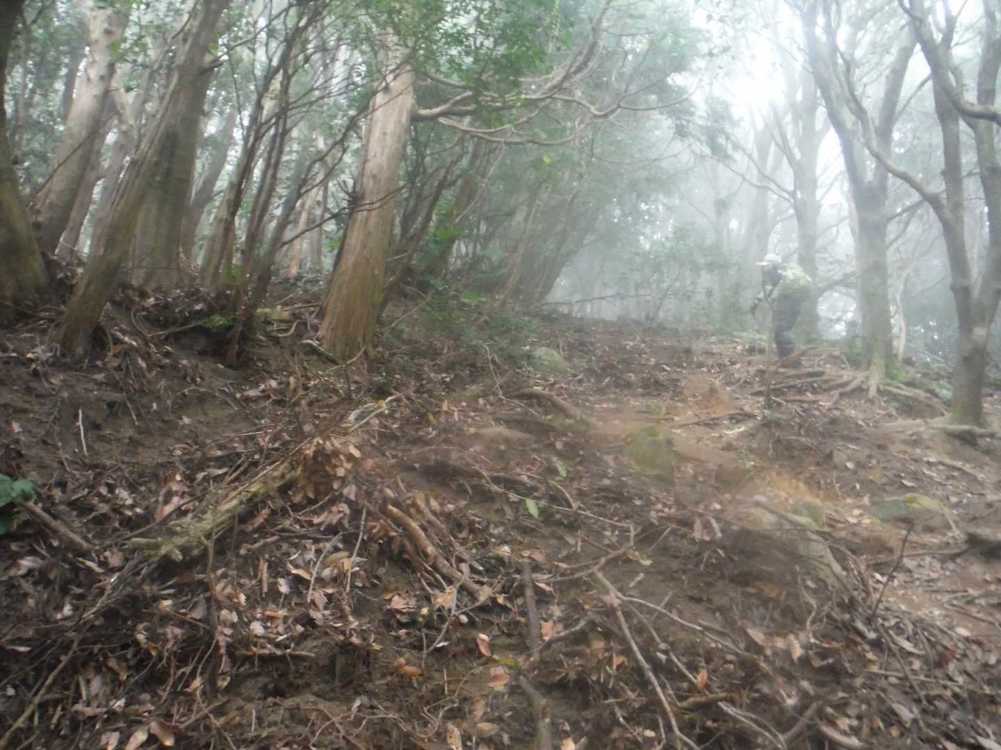 十坊山まで一番急坂の箇所。
さすがに話しながらでなく黙々と登る。
牛斬山から福智山への縦走路に念仏坂という急坂がある。念仏を唱えながら歩く位急だからときいたが、ここも念仏も出ない位、なので「無言坂」と呼ぶことにする。
