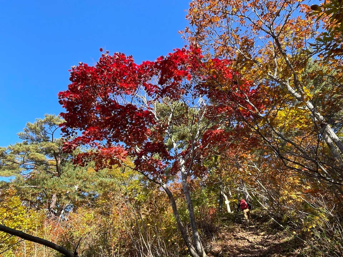 紅葉の中
気持ちいいよ〜