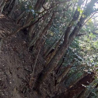 や、行けたけど…🤣🤣🤣

フ〜フ〜言いながら、明らかに正規ルートより大変だし危なかった😂
成果は滑落3m✕１🤸

今日はこれくらいで勘弁しといてやらぁ…😤💦


