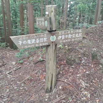 要所に道標があり安心