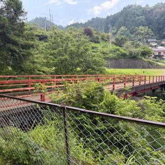 戻ってきた！
