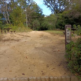 鉢伏山にゃ
