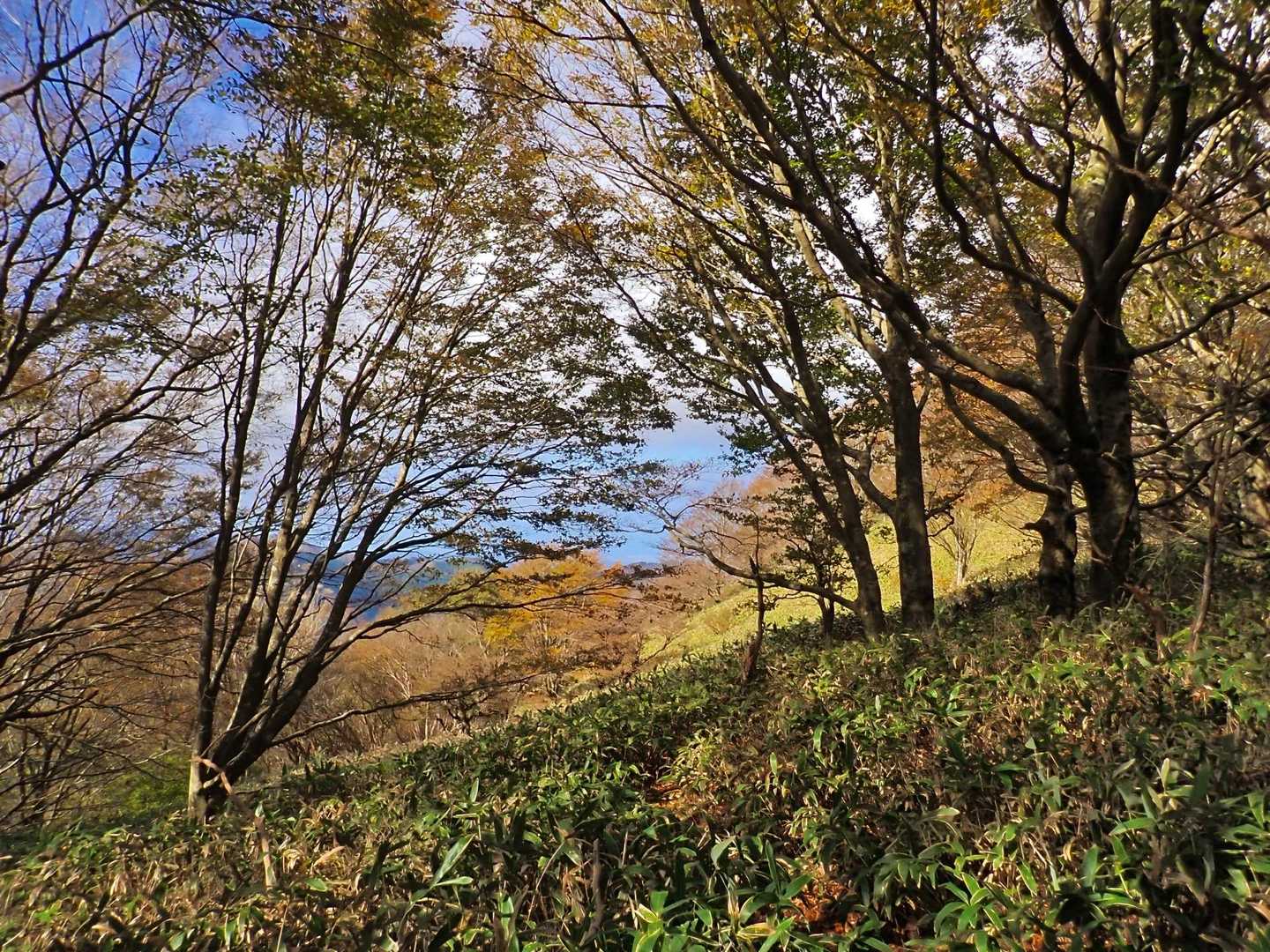 寄り道しながら下山します。