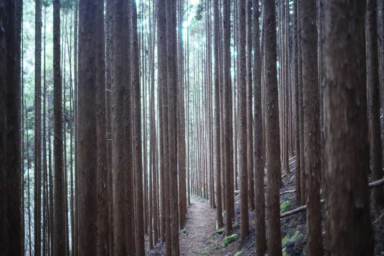 好きな景観
歩いていて気持ち良いですね