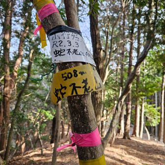 すぐに蛇不老山
眺望は木に囲まれて見えません
昨年の干支山ですが　不老＝老けないということで～😂