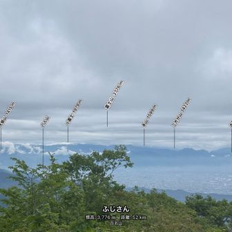 ほら、富士山も見えるでしょうꉂ🤣𐤔‪