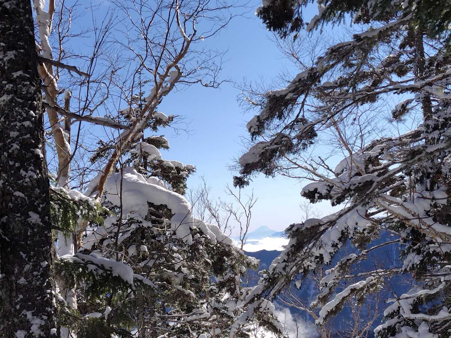 富士山🗻