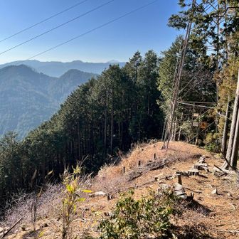良い眺め✨中央遠くに大岳山が見えています⛰️