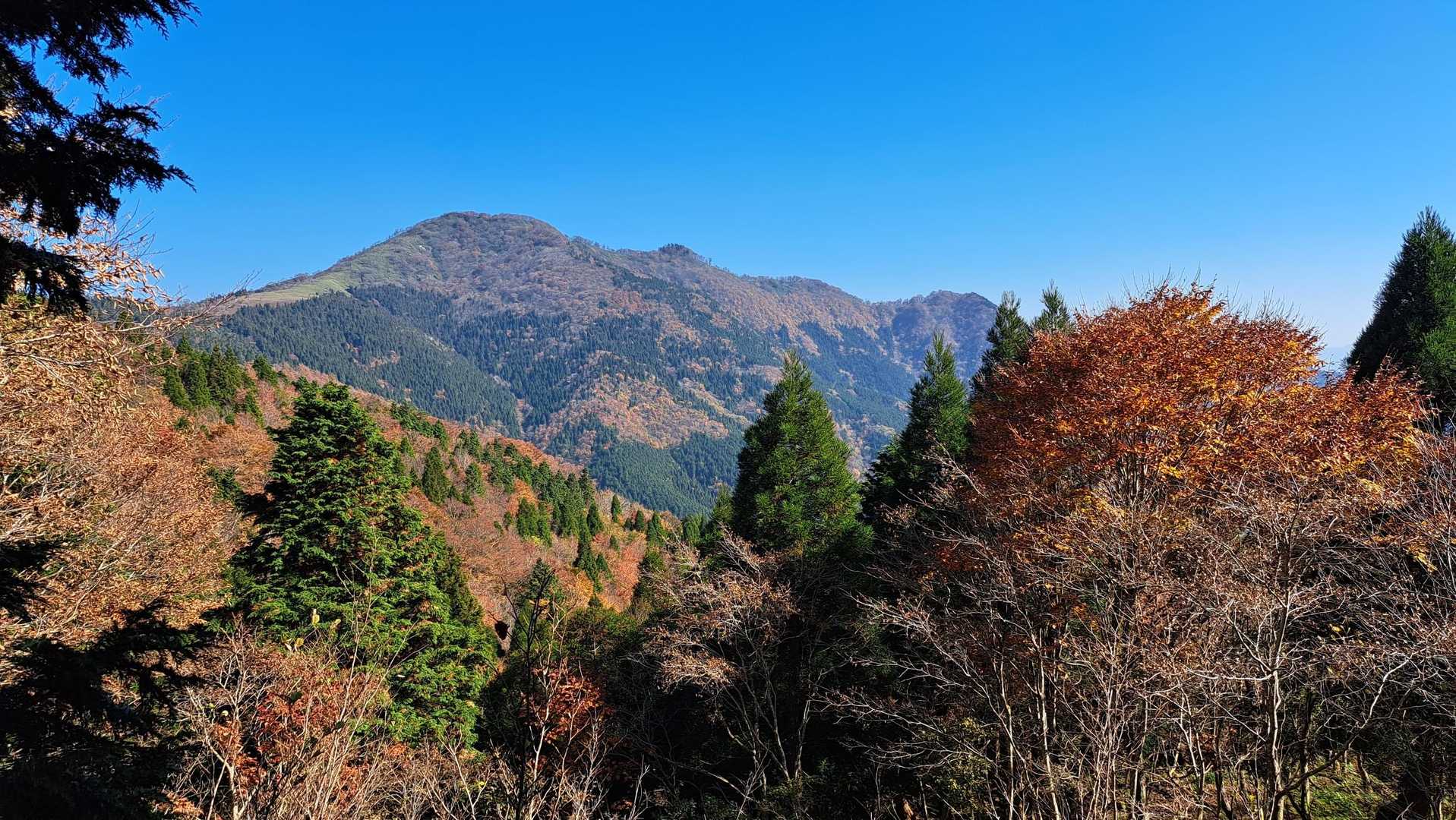 彼処から降りてきました。
